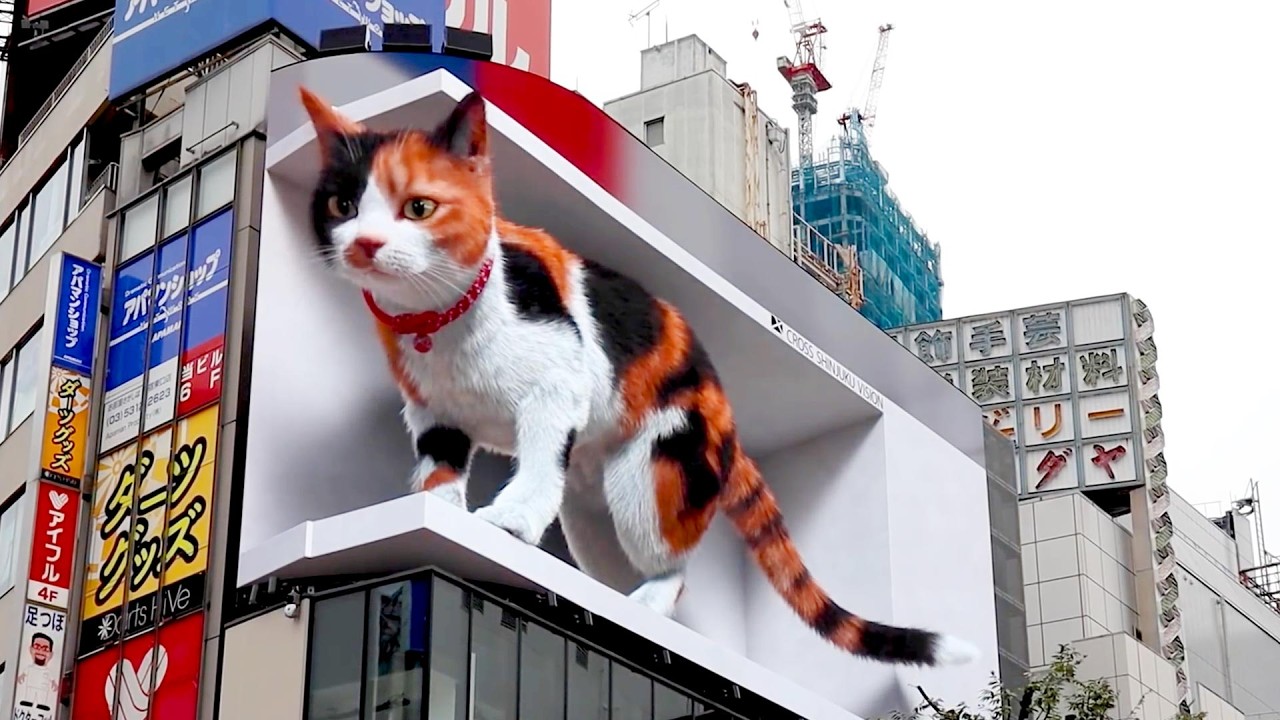 Tokyo Shinjuku 3D Cat & Street Walk 🇯🇵