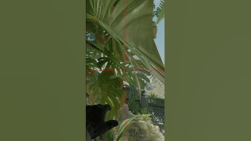 Ancient - Смок в темпл  #cs2 #csgo #cs2smokes #cs2 #кс2