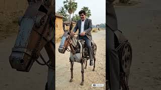⚡ Electronic Ghoda Made By Me 🐎 | Amazing DIY Electric Horse Project | Creative Innovation