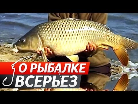 Карпфишинг. Снаряжение Карпятника. "О Рыбалке Всерьез" видео.