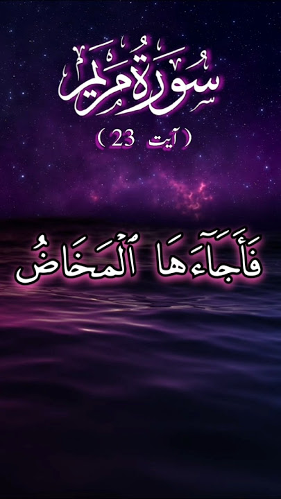 Surah Maryam ayat 23 #alquran #shorts #youtubeshorts