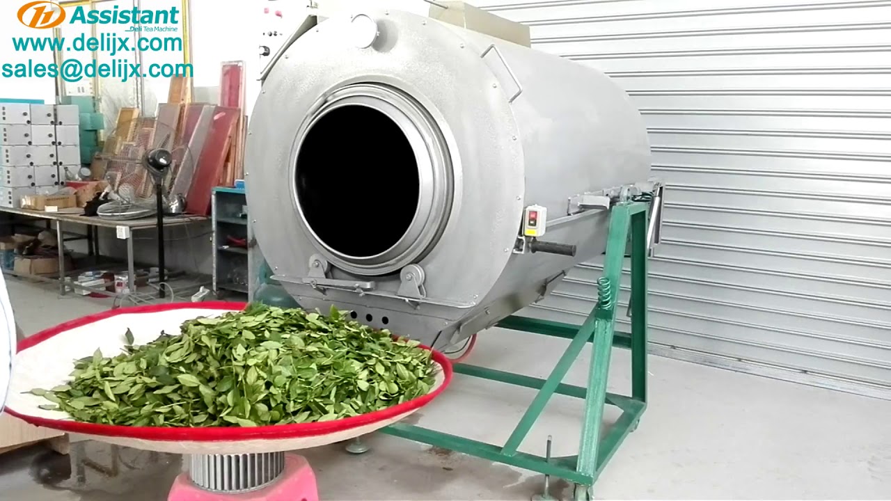 Green Tea Steaming Process Green Tea Steaming Process Roasting Tea