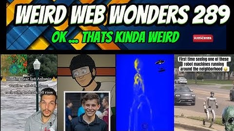 weird web wonders 289