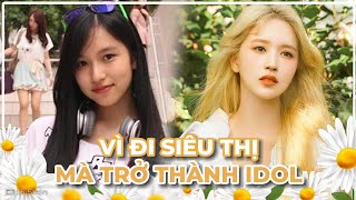 Mina Hành Trình Từ Con Nhà Quý Tộc Đến Idol Kpop Lily Story