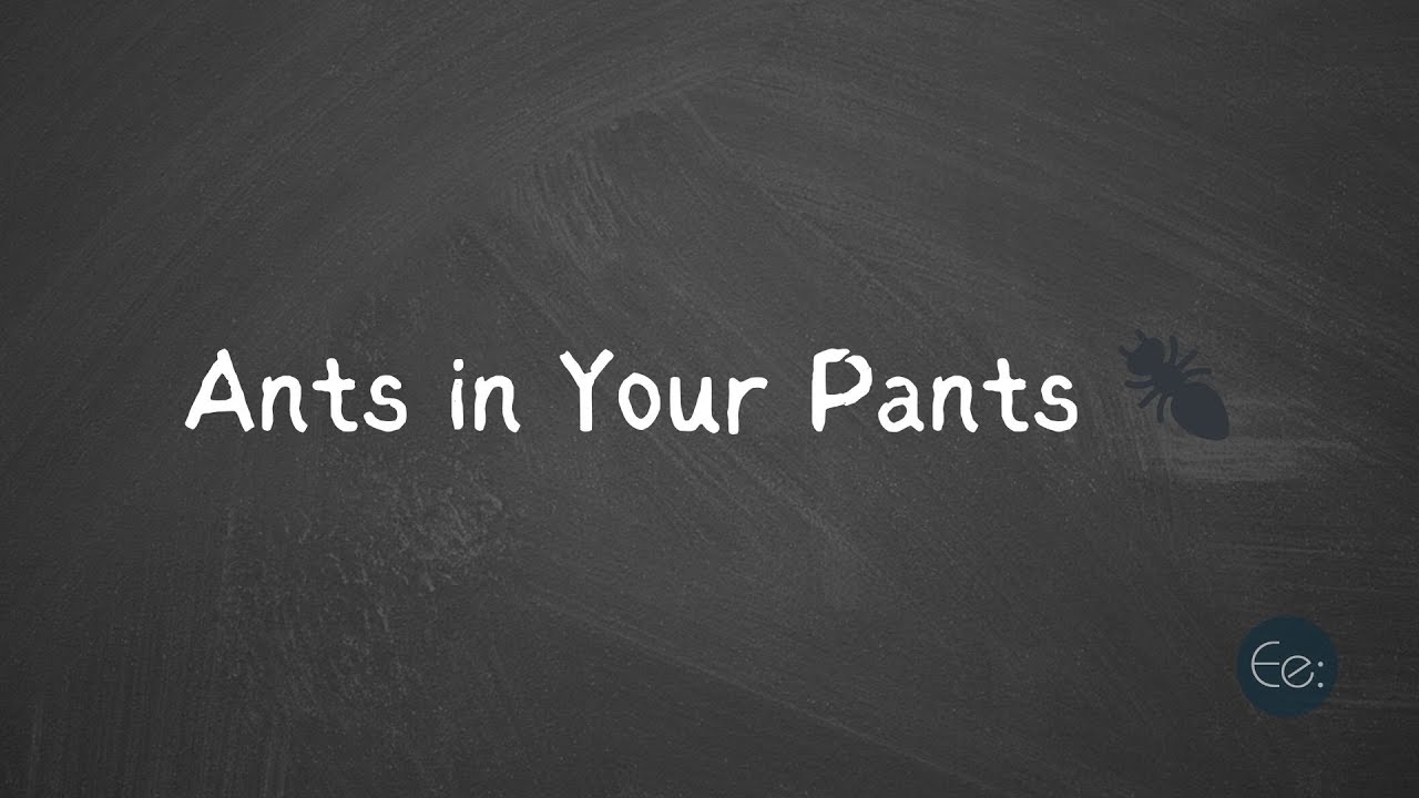 Ants in Your Pants ๐ What Does It Mean? #english #phrases #expression # ...