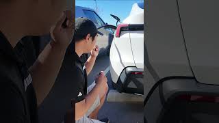Model Y Standard vs Premium Differences You Never Noticed