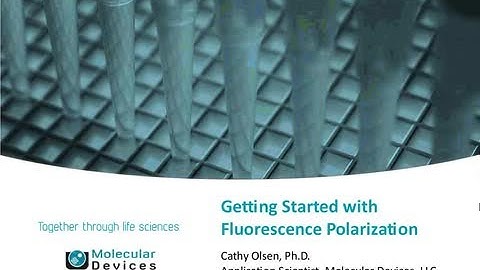 Getting Started with Fluorescence Polarization
