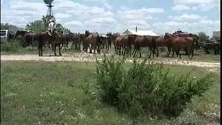 A Day in the Life of a West Texas Cowboy