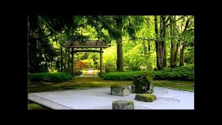 3 Hours Sleep Music: Relaxing Music, Meditation Music, Best Music to Sleep ☯9