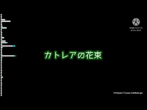 千代田線 明治神宮前〈原宿〉駅発車メロディ「カトレアの花束」耳コピ再現