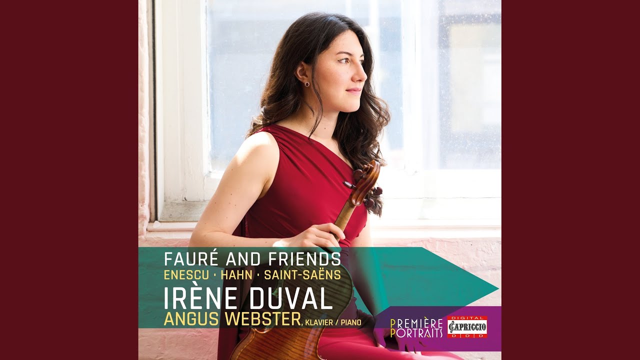 Violin Sonata No. 2 in E Minor, Op. 108: I. Allegro non troppo