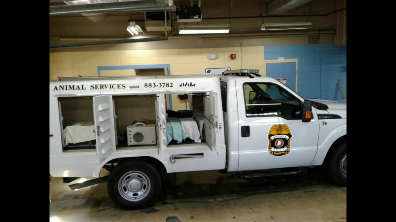 Million Cat Challenge ReturntoField from an Animal Control Officer's