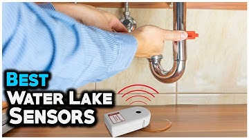 7 Best Water Leak Sensors 2021  - Hami Gadgets
