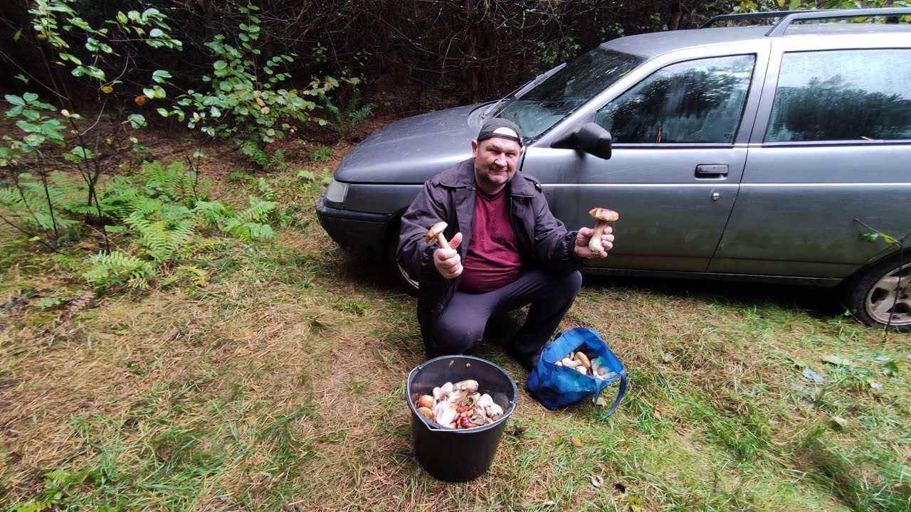 Гриби є. Назбирав різних грибів на грибних місцях дитинства. Не був тут багато років