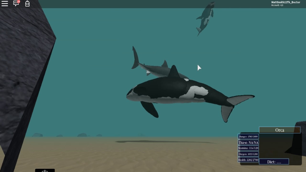 orca roblox games｜TikTok Search