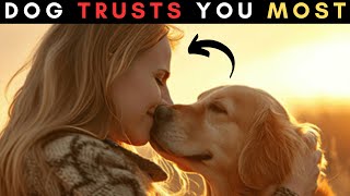 15 signs your dog trusts you most.