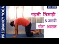 5 Yoga Poses for 1st Trimester I Pregnancy Yoga for 1st Trimester in Hindi I Yog Namaste