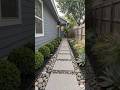 INSANE Backyard Transformation - From Wild Weeds to Peaceful Garden #garden