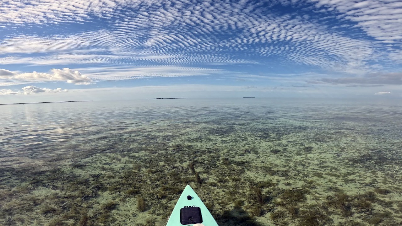 Florida Keys Backcountry after the Arctic Blast.