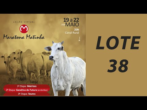 LOTE 38