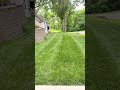 Yard from this morning #mower #mowing #scag #rap