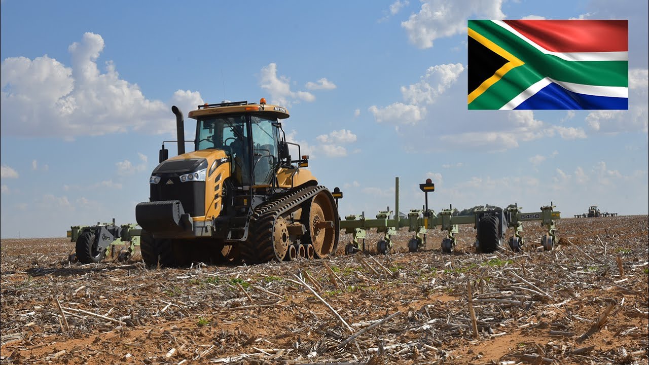 Challenger 775E 7 cylinder dual track tractor with Orthman strip tiller in South Africa Free State