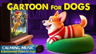 Dog Cartoon with Music (🔴 24/7): Entertainment Videos for Dogs to Watch🐶Best Relaxing Music for Dogs