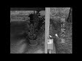 開け放つ窓 / 阿部 芙蓉美