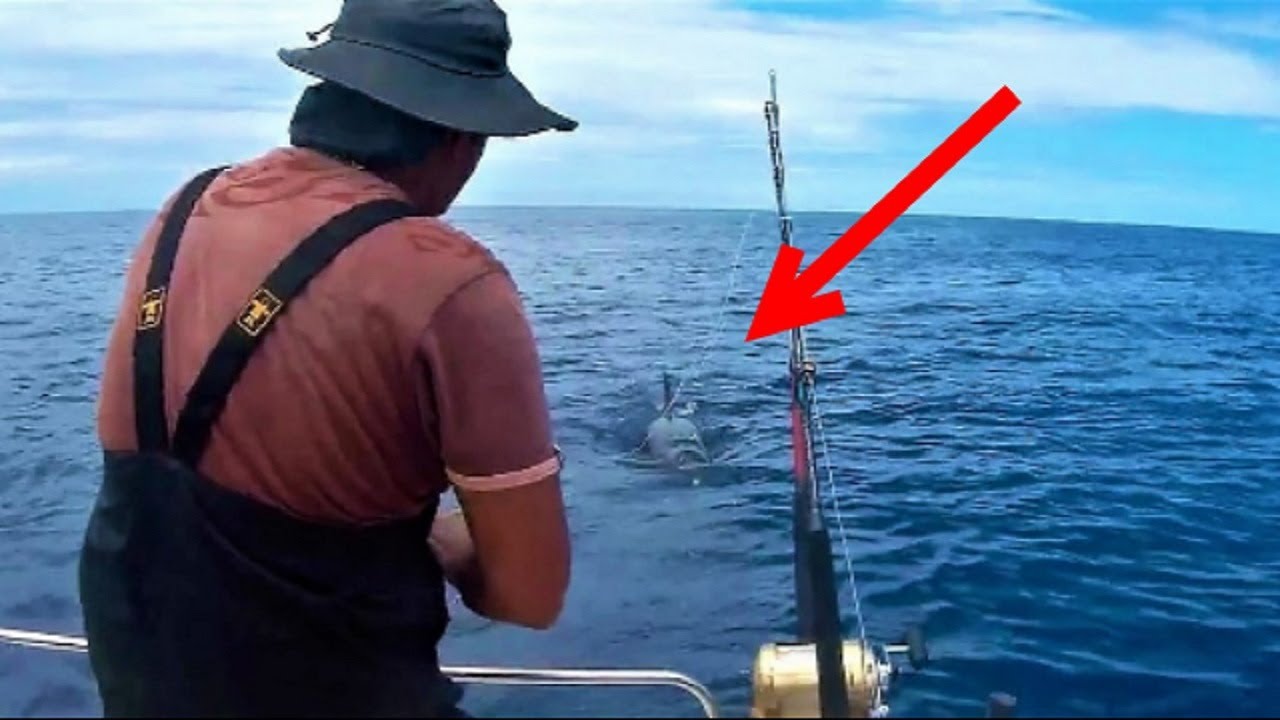 Pêche en Mer Incroyable Enorme Surprise Big Fish 974 SEA FISHING