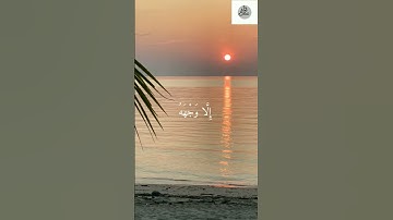 كل شيء هالك إلا وجهه، إدريس أبكر،سورة القصص #راحة_نفسية