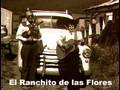 COLORES | El Ranchito De Las Flores | New Mexico PBS