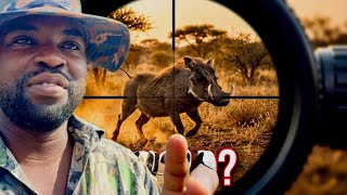 Intongenyaniso Itshophantsiyemka Inkunzehagu Ebesinoyitya Elalini