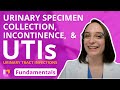 Urinary Specimen Collection, Incontinence, and Urinary Tract Infections - Fundamentals of Nursing