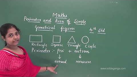 STATE 4 - MATHEMATICS - PERIMETER AND AREA OF GEOMETRICAL FIGURES - PART 1