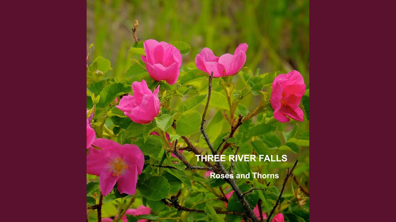 Roses and Thorns YouTube