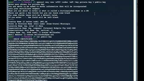 Digital Signature with openSSL on the GNU/Linux Console