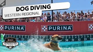 Incredible Dog Challenge 2026: Dog Diving Western Regional | NBC Sports