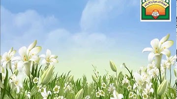 سورة العنكبوت - بصوت الأخ فهد بن واصل المطيري