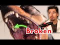 Dog broken tooth  how a vet fixes teeth