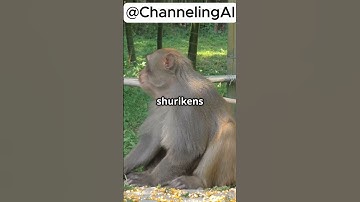 Why Ninja Monkey is a Must Pick in BTD5!