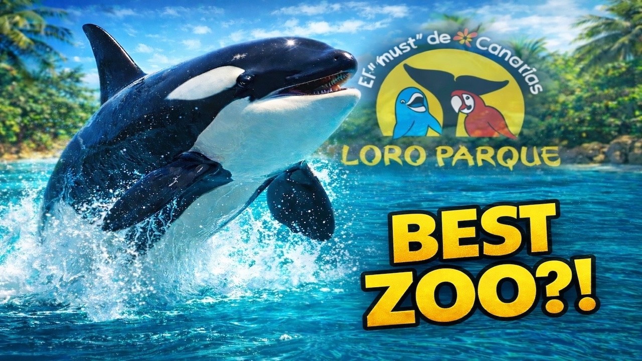 IS THIS THE BEST ZOO IN THE WORLD? 🐬 | Loro Park Tenerife | Sign Language
