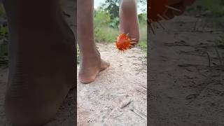Keterampilan Bertahan Hidup: Ide CERDAS dan BERMANFAAT dengan ibutunggal#bushcraft#berkemah
