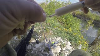 видео: лобаны и кефаль ОООЧЕНЬ ЛЮБЯТ ЭТУ НАЖИВКУ ! картинка: лобаны и кефаль ОООЧЕНЬ ЛЮБЯТ ЭТУ НАЖИВКУ !