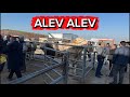ANKARA &Ccedil;UBUK HAYVAN PAZARI 07 MAYIS
