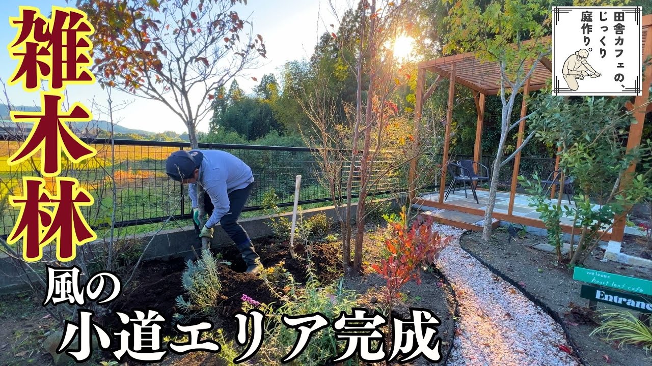 【庭 DIY】樹齢15年ヤマボウシの植え替えで変わる庭