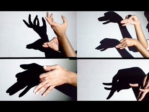 How Make Shadow Puppets With Your Hand - Very Interesting Ideas || Part -3: Shadow Animals - YouTube