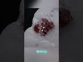 What do I do when I find a Red stone?  #gemstone #gemsandminerals #gemstoneexploration Mp3 Song