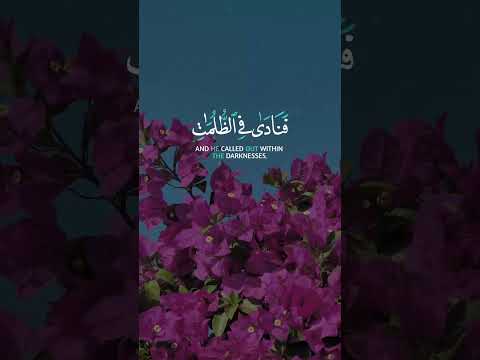 دعاء أنقذ نبي الله من الظلمات تلاوة مؤثرة للشيخ عبد الباسط 