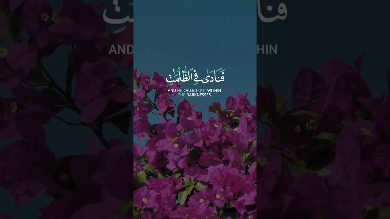 دعاء أنقذ نبي الله من الظلمات | تلاوة مؤثرة للشيخ عبد الباسط
