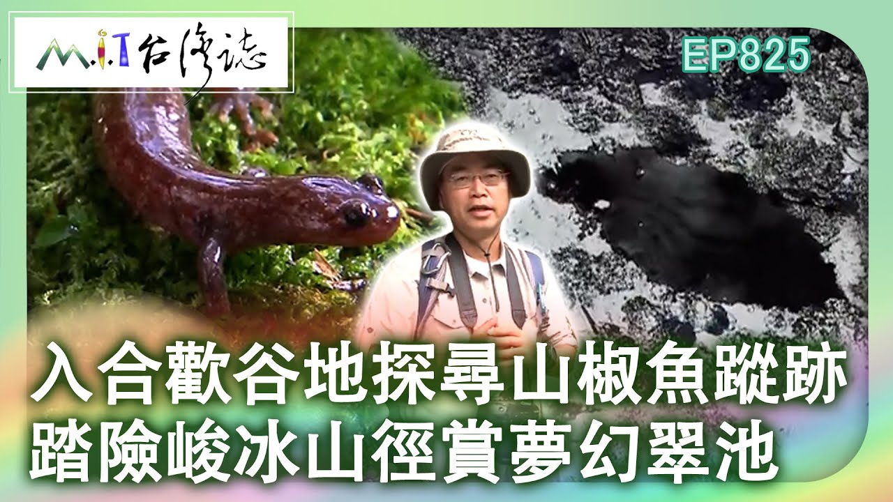 入合歡谷地探尋山椒魚蹤跡 踏險峻冰山徑賞夢幻翠池｜南投縣仁愛鄉 麥覺明【